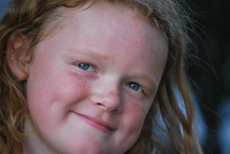 2025년 전기차 보조금