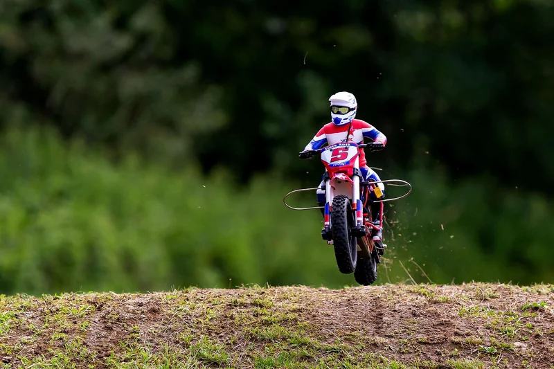 전기차 지자체 보조금