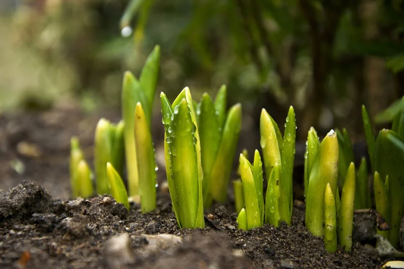 청년취업지원금