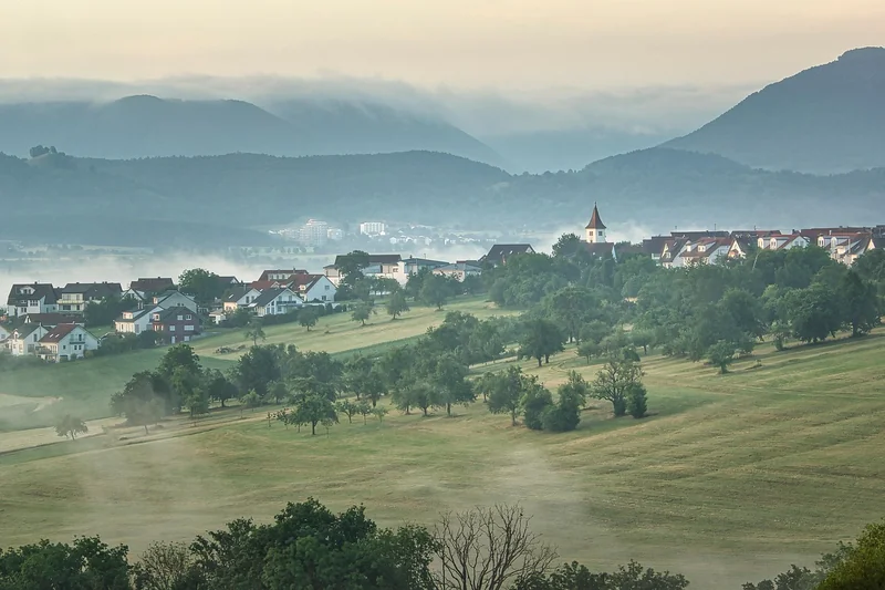 4대보험 없는 알바