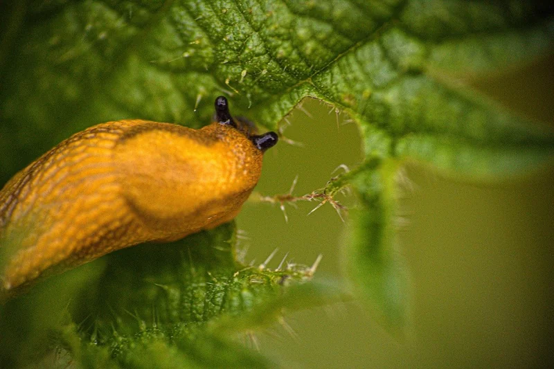 4대보험 없는 알바