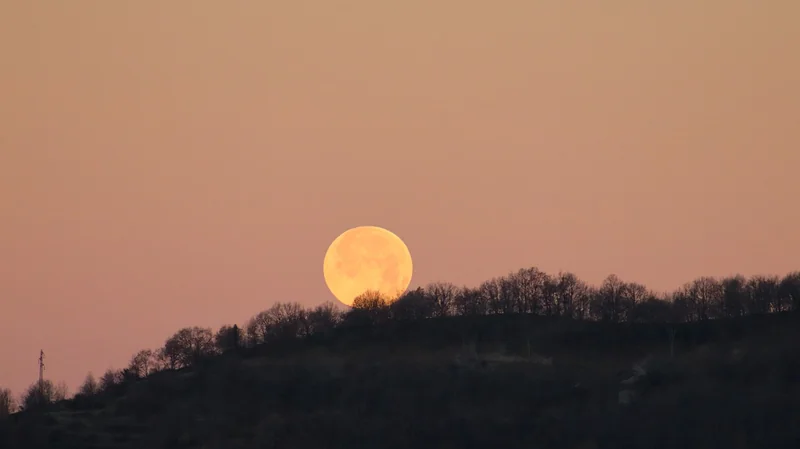 4대보험 없는 알바
