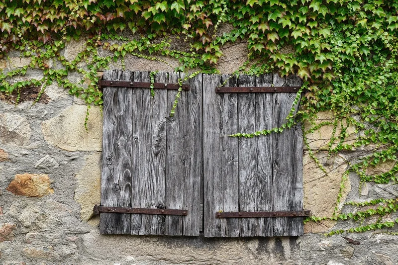 4대보험 없는 알바