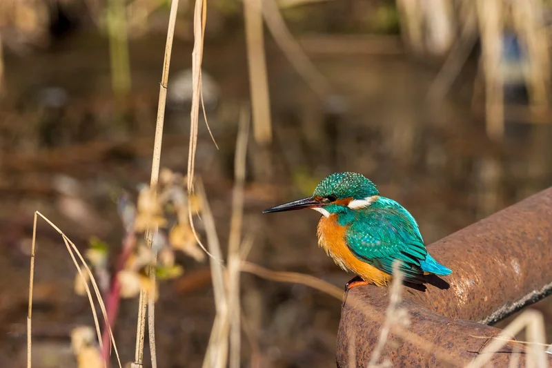 4대보험 없는 알바