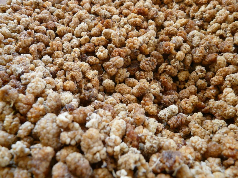 4대보험 없는 알바