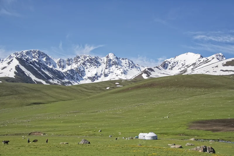 k패스 교통카드