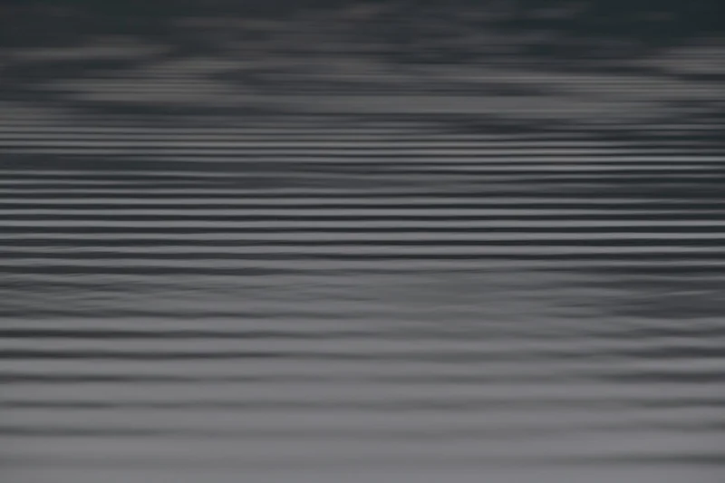 xrp 리플전망