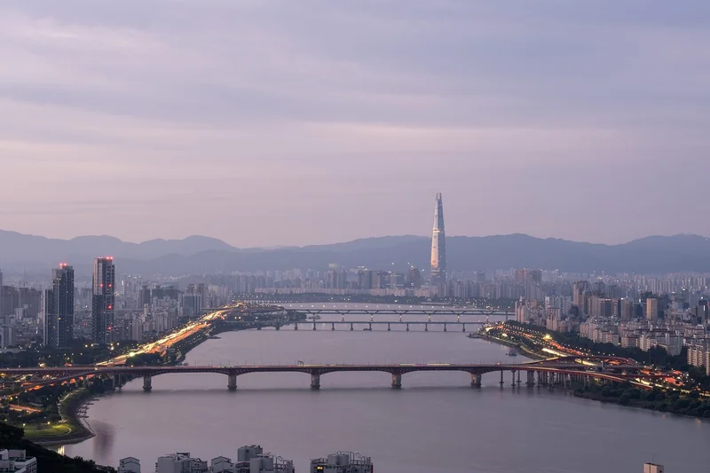 xrp 전망