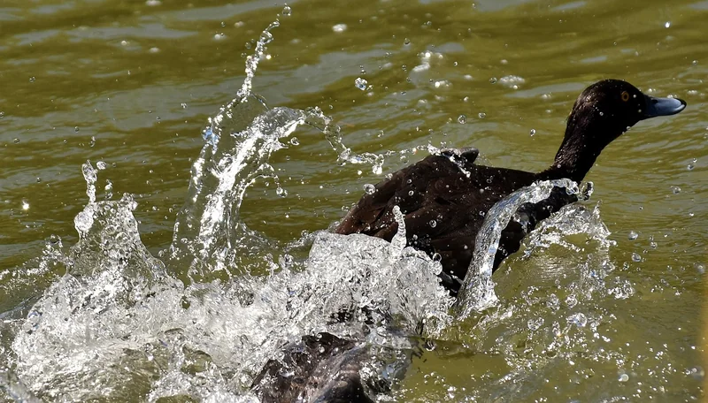 국민연금 예상수령액