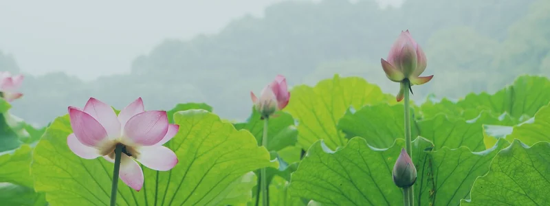 국민연금 예상수령액