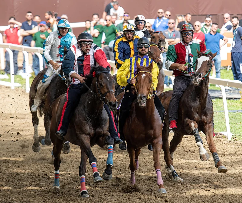 국민연금 조기수령