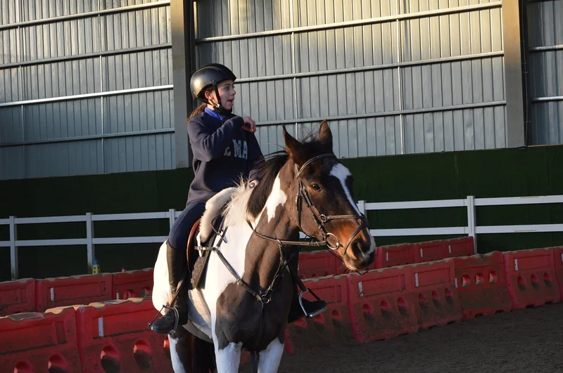 국민연금 조기수령