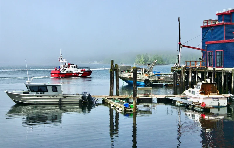 군적금 비대면 해지