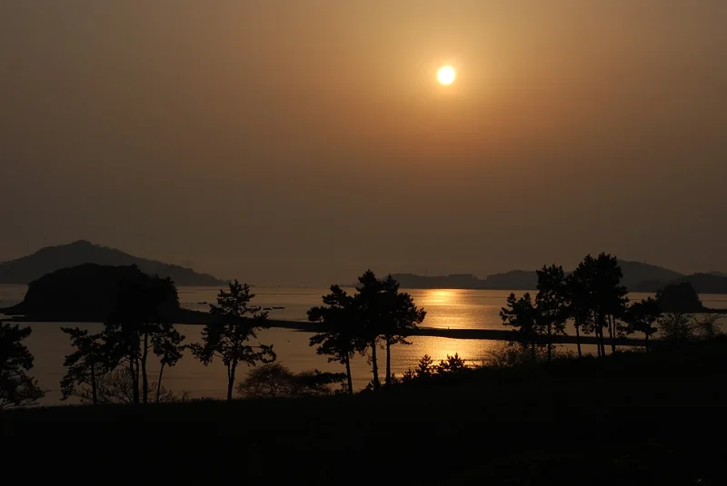 군적금 해지