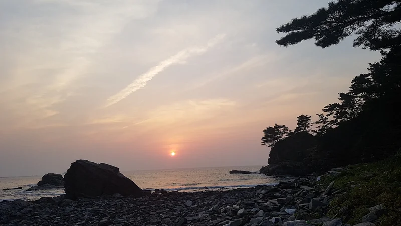 군적금 해지