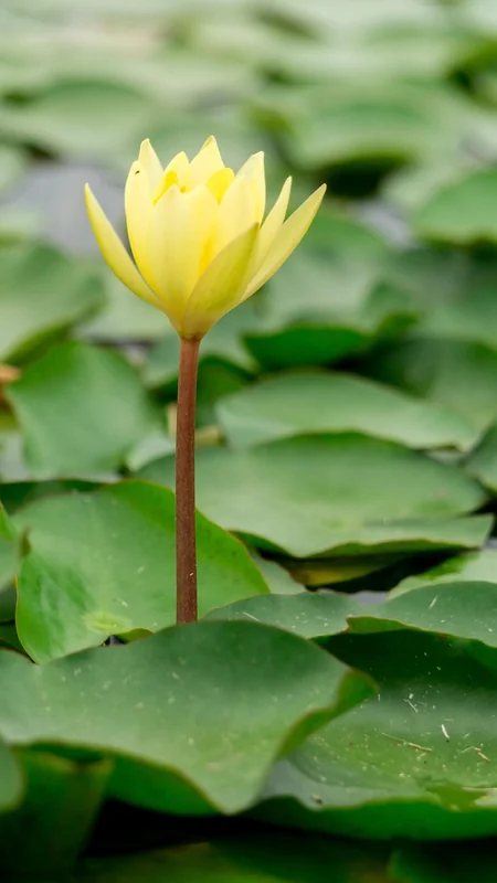 근로장려금 조건