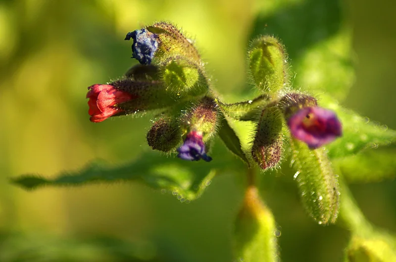 근로장려금신청