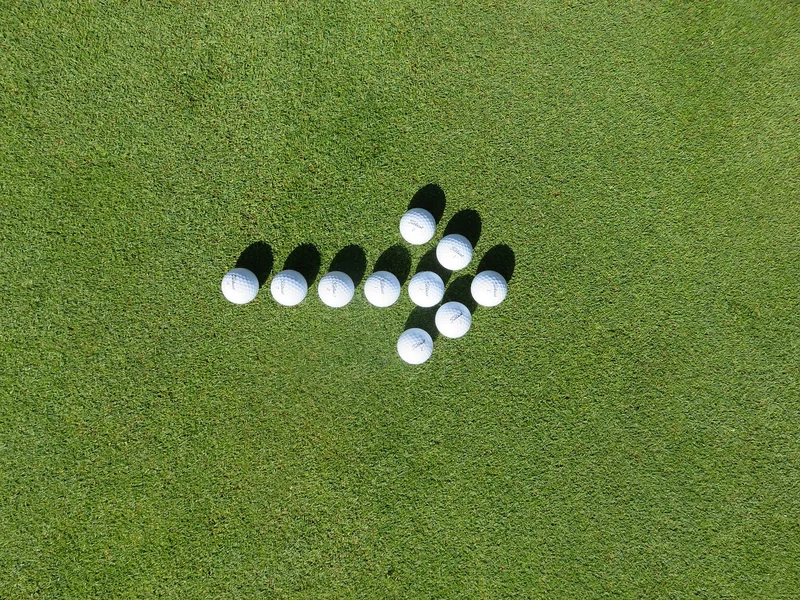 단통법 폐지 시행시기