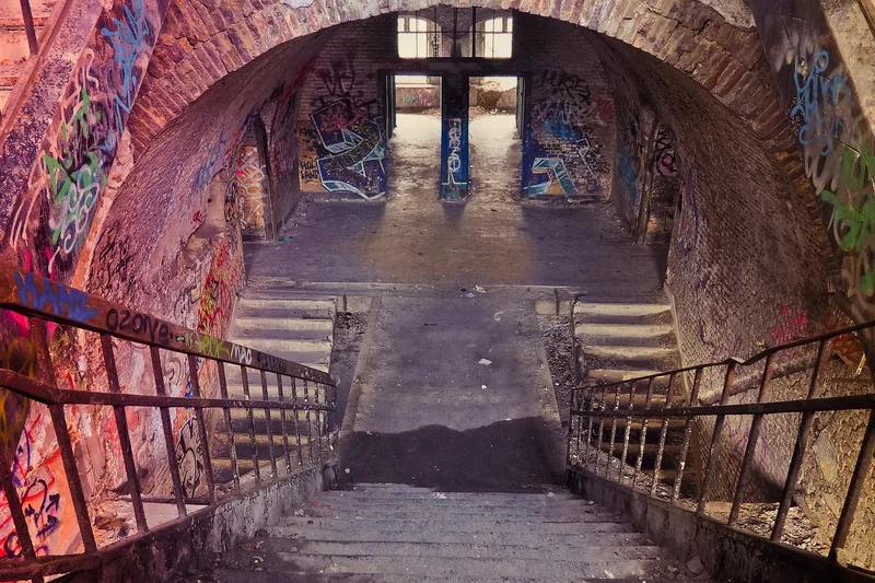 단통법 폐지 시행일