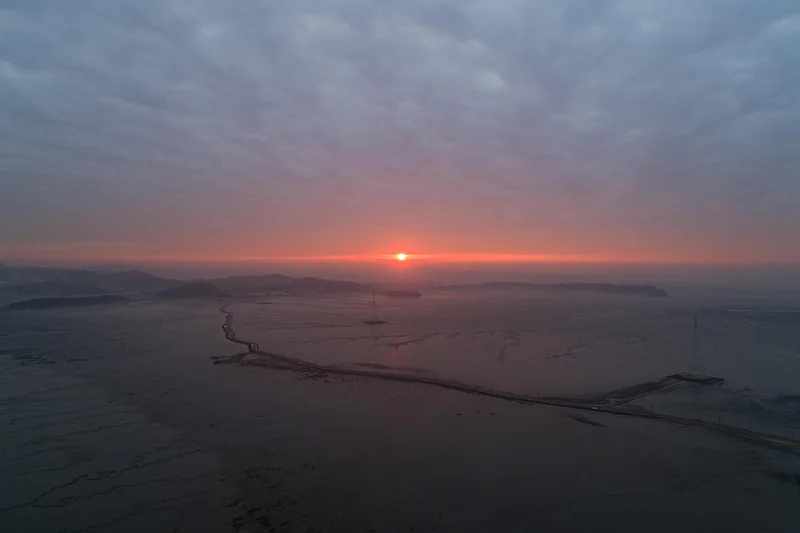 단통법 폐지 언제부터