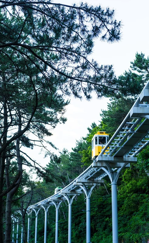 부산 노인일자리
