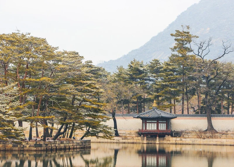 서울시 청년정책