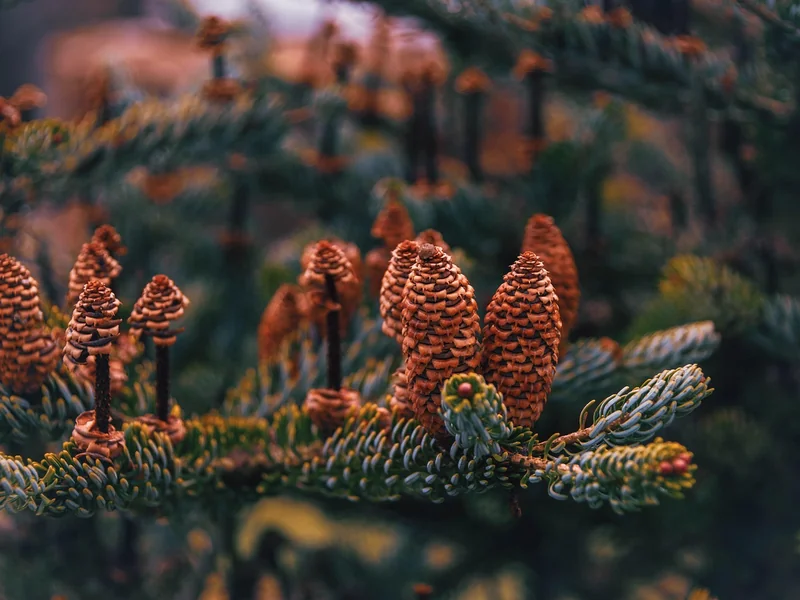 신용카드 연회비 무료