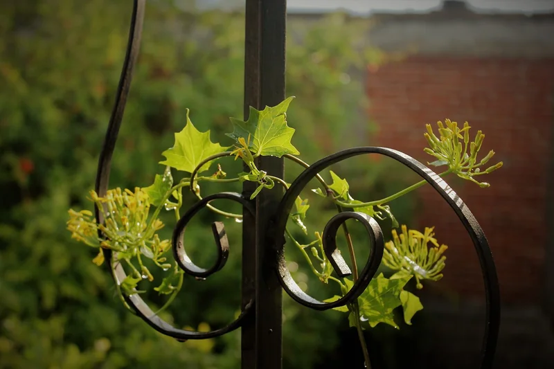 신용카드 연회비 안내면