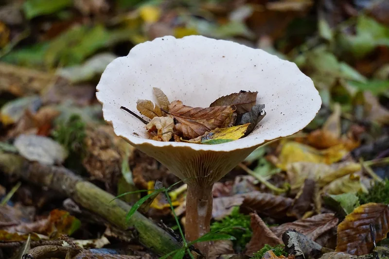 신용카드 연회비 종류