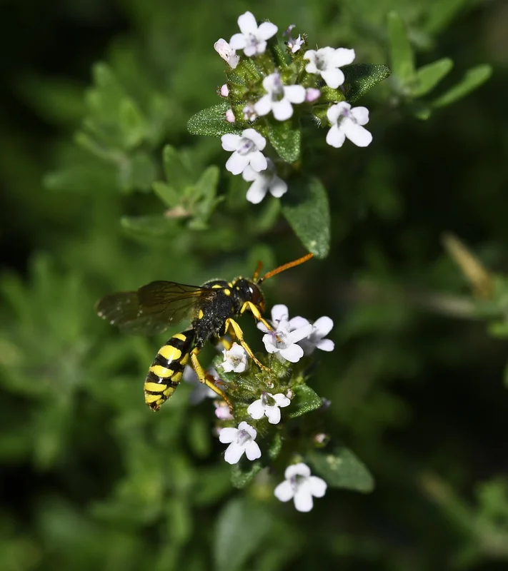 신용카드 연회비 종류