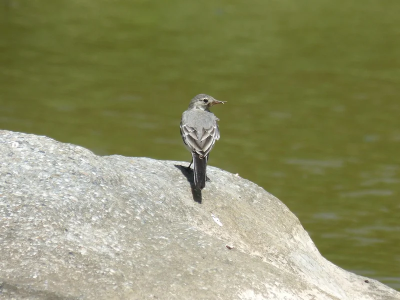 알바 4대보험 연말정산