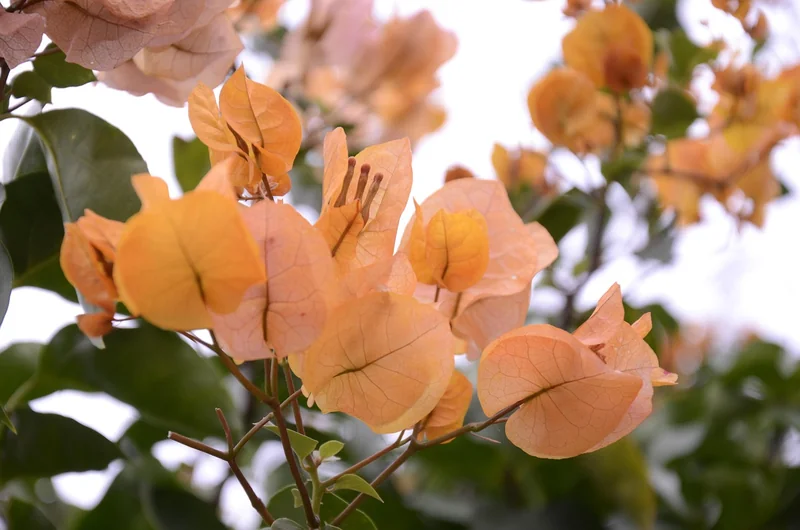 인터파크 취소표 티켓팅