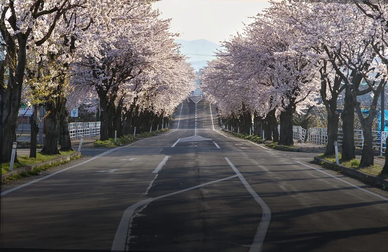 일본 알바 시급