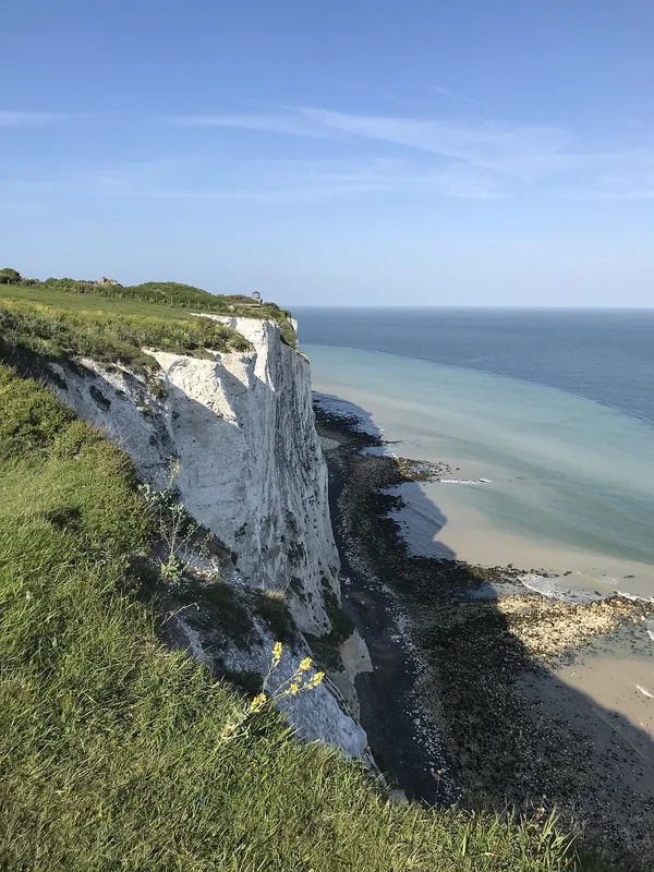 장애인 차량 혜택