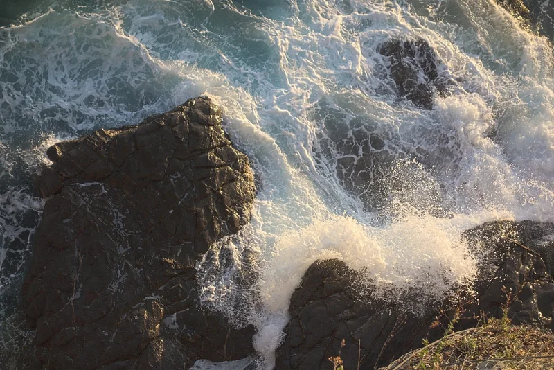 정부지원 아이돌보미