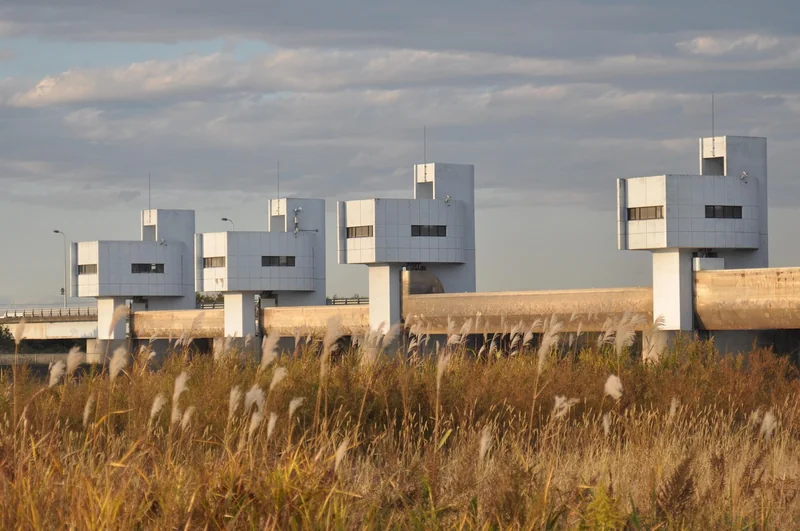 정부지원 정책자금