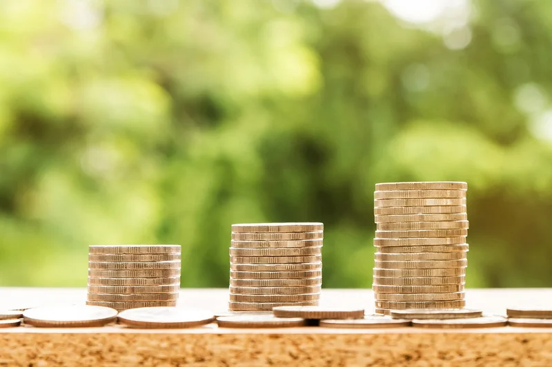 정부지원 청년대출