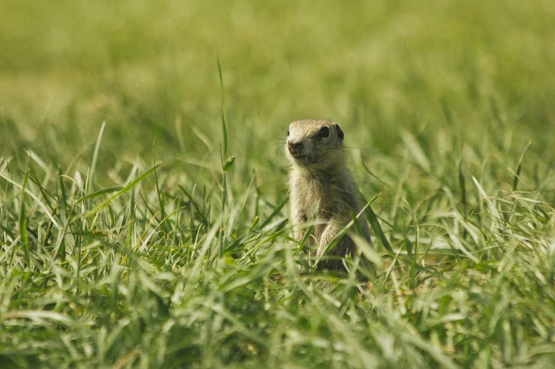 정부지원금 신청