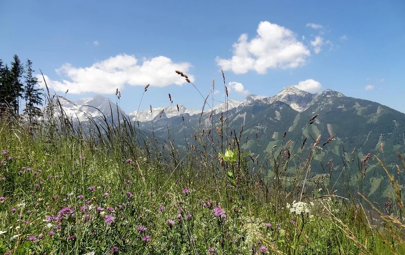 정부지원금 조회