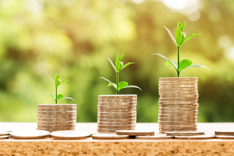 청년기본소득