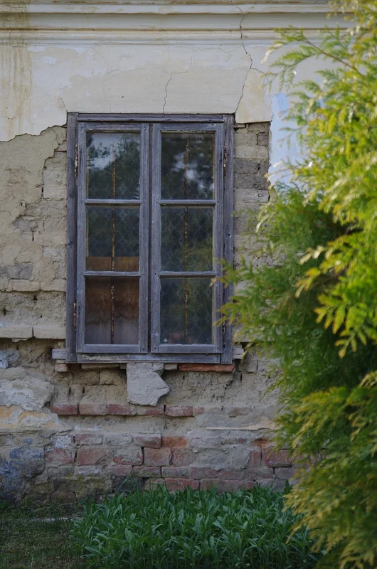 청년문화예술패스 본인인증