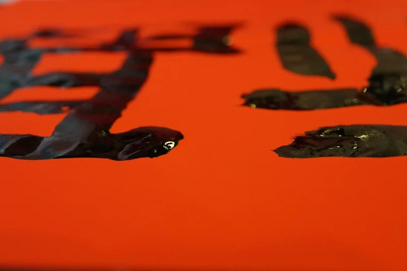 청년문화예술패스 사용법