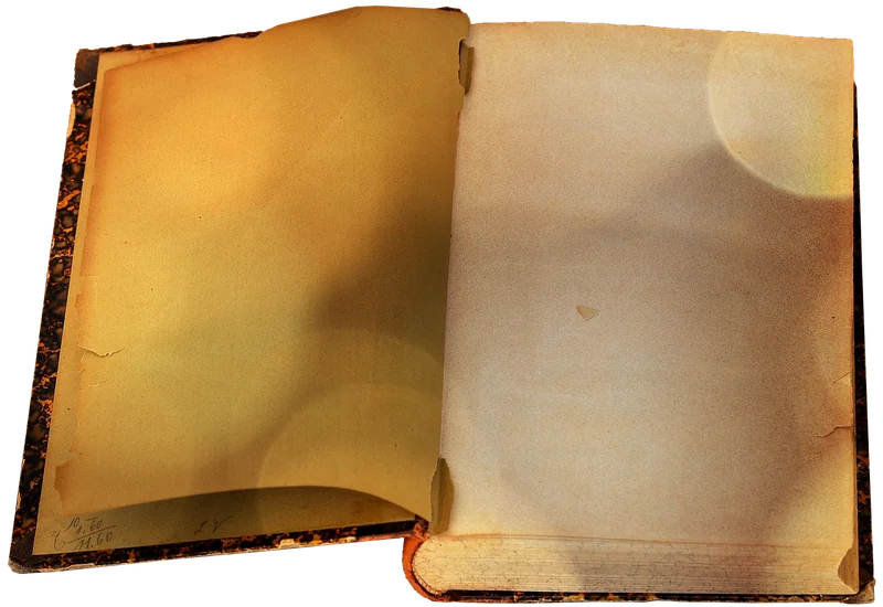 청년문화예술패스 책