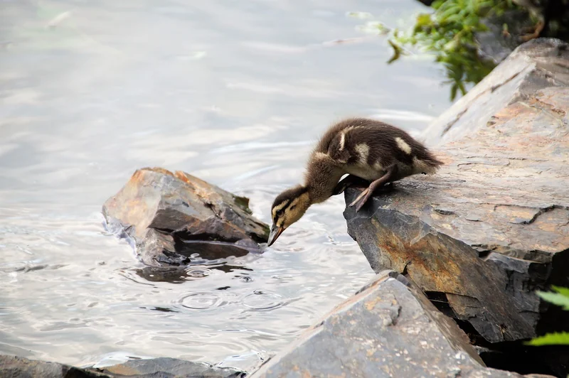청년상인 도약지원