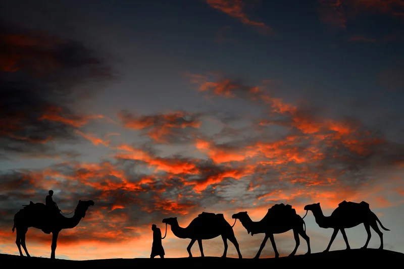 청년일자리도약장려금 대상