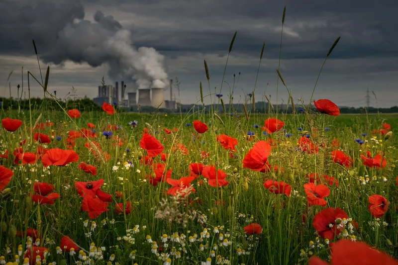 파이코인 채굴세션
