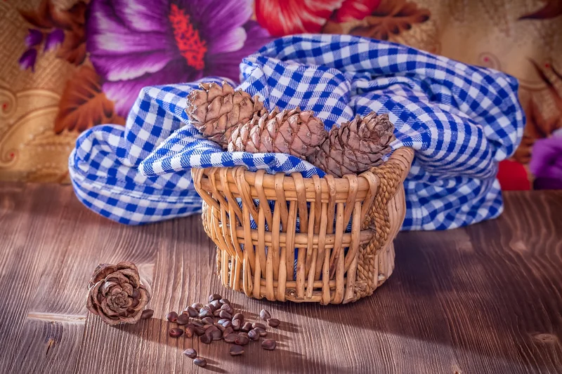 혜택 좋은 신용카드