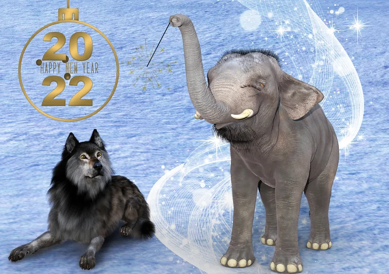 혜택 좋은 신용카드