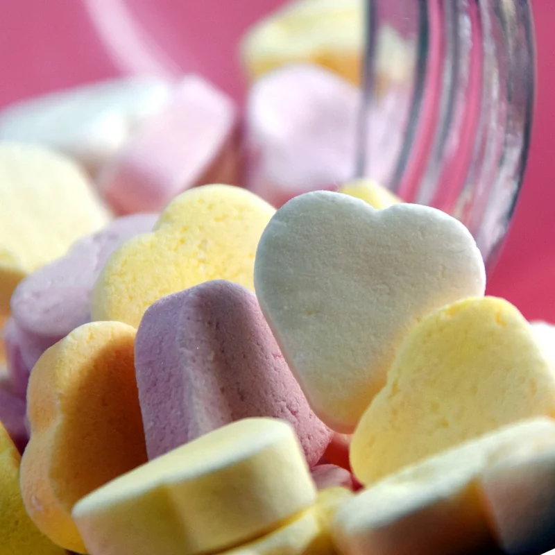 건강보험 환급금