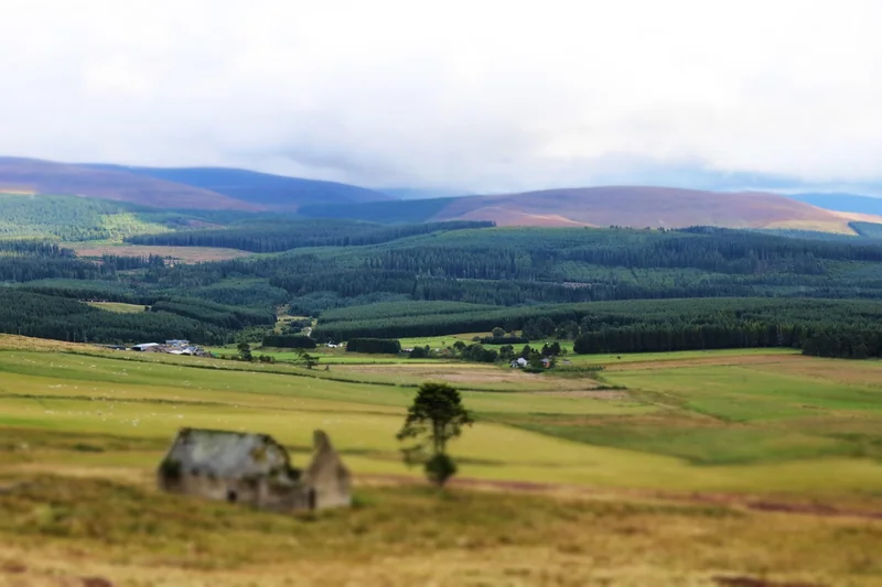 고지혈증약 부작용